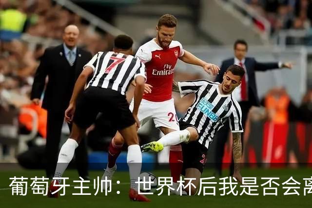 葡萄牙主帅：世界杯后我是否会离任？现在重要的是专注于世界杯