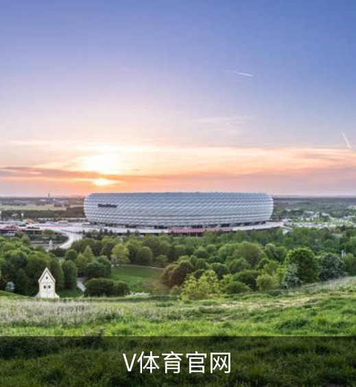 V体育官网简介